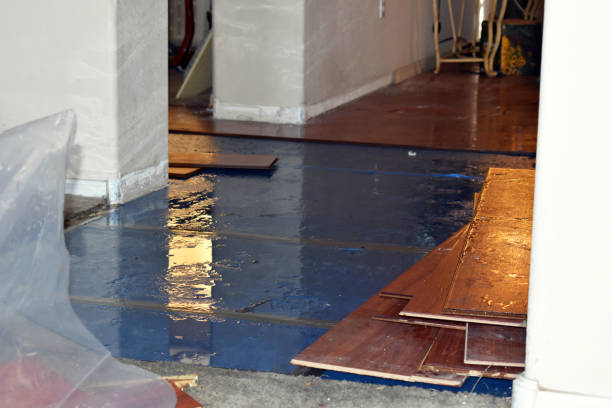 Professional Burst Pipe Cleanup technician working in Hudson, IL